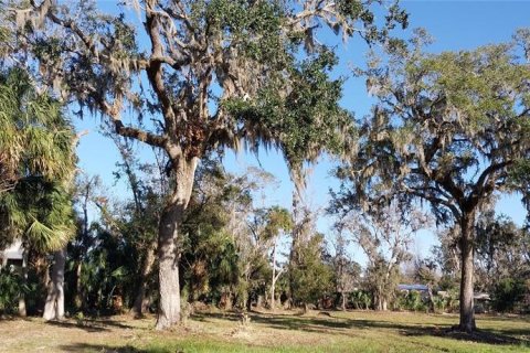 Land in Riverview, Florida № 2273114 - photo 16