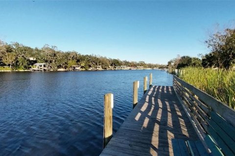 Land in Riverview, Florida № 2273114 - photo 22