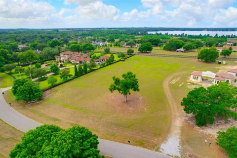 Land in Thonotosassa, Florida № 2113075 - photo 4