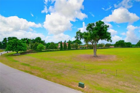 Land in Thonotosassa, Florida № 2113075 - photo 24