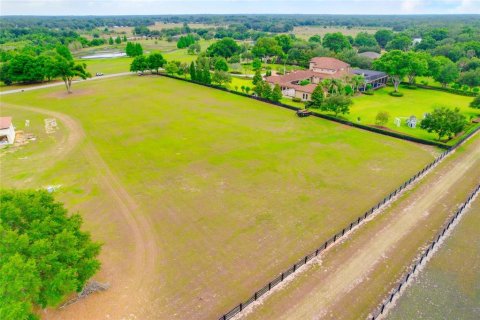 Land in Thonotosassa, Florida № 2113075 - photo 20