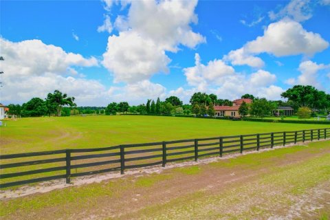 Land in Thonotosassa, Florida № 2113075 - photo 22