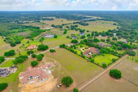 Land in Thonotosassa, Florida № 2113075 - photo 16