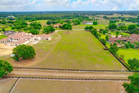 Land in Thonotosassa, Florida № 2113075 - photo 7