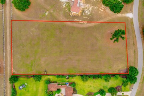 Land in Thonotosassa, Florida № 2113075 - photo 12