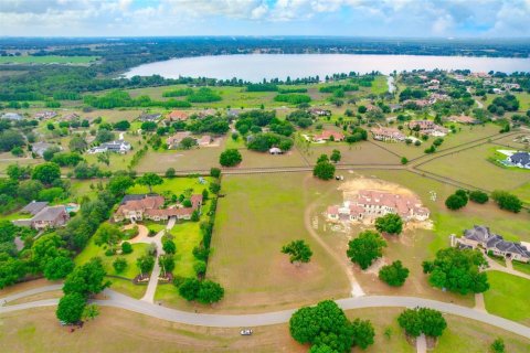Land in Thonotosassa, Florida № 2113075 - photo 14