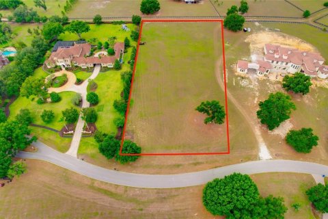Land in Thonotosassa, Florida № 2113075