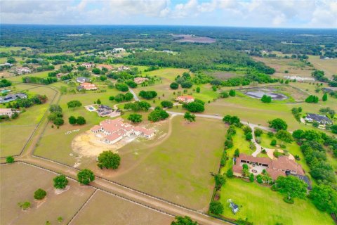 Land in Thonotosassa, Florida № 2113075 - photo 17