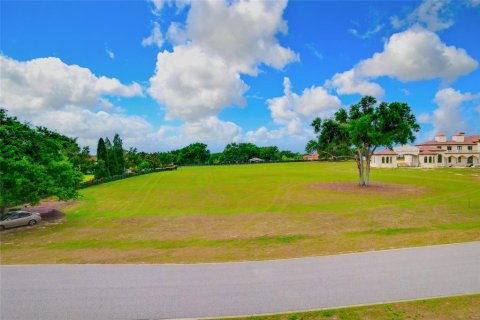 Land in Thonotosassa, Florida № 2113075 - photo 25