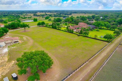 Land in Thonotosassa, Florida № 2113075 - photo 9