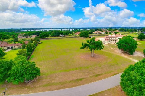 Land in Thonotosassa, Florida № 2113075 - photo 3