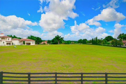 Land in Thonotosassa, Florida № 2113075 - photo 21