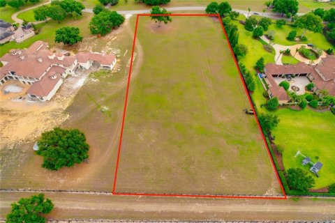 Land in Thonotosassa, Florida № 2113075 - photo 6