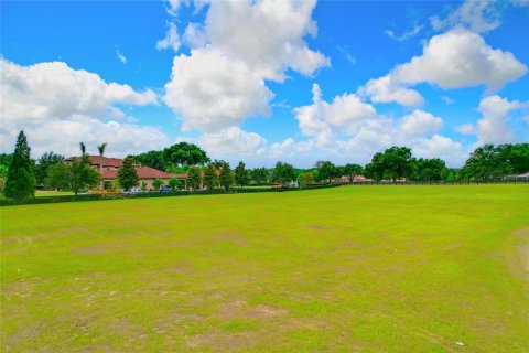 Land in Thonotosassa, Florida № 2113075 - photo 23