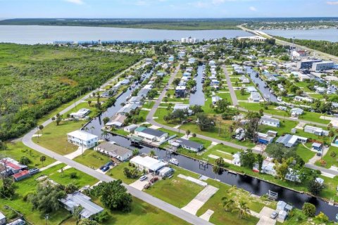 Land in Port Charlotte, Florida № 2218399 - photo 9