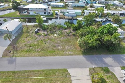 Land in Port Charlotte, Florida № 2218399 - photo 2