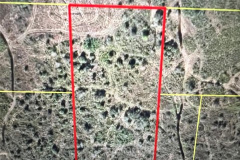 Land in Okeechobee, Florida № 1737442 - photo 1