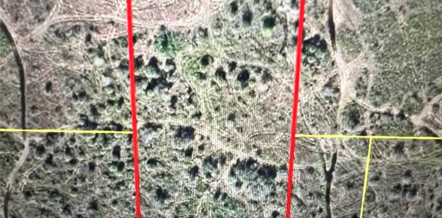 Land in Okeechobee, Florida № 1737442