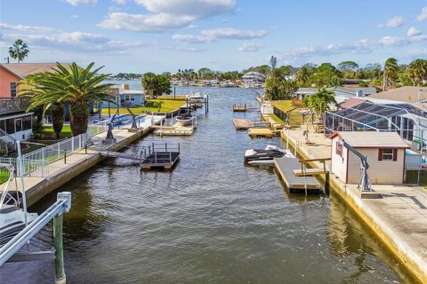 Villa ou maison à vendre à Port Richey, Floride: 2 chambres, 109.25 m2 № 2143042 - photo 3