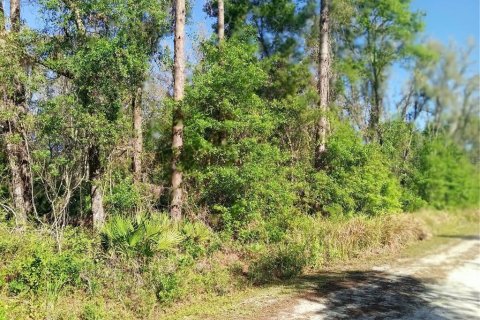 Terrain à vendre à Webster, Floride № 1723758 - photo 6