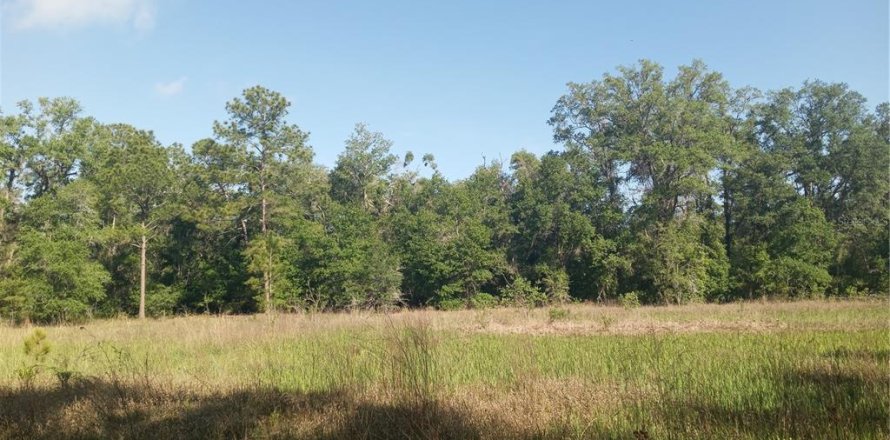 Terrain à Webster, Floride № 1723758