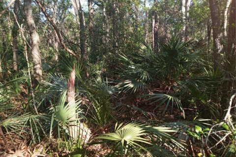 Terrain à vendre à Webster, Floride № 1723758 - photo 5