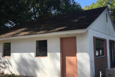 Appartement à louer à Tampa, Floride: 3 pièces, 51.1 m2 № 2139774 - photo 8