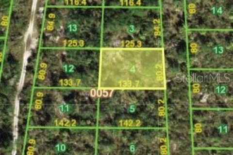 Land in Punta Gorda, Florida № 2163421 - photo 2