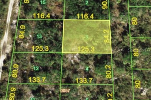 Land in Punta Gorda, Florida № 2163421 - photo 3