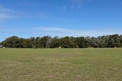 Terreno en venta en Citra, Florida № 1565115 - foto 6