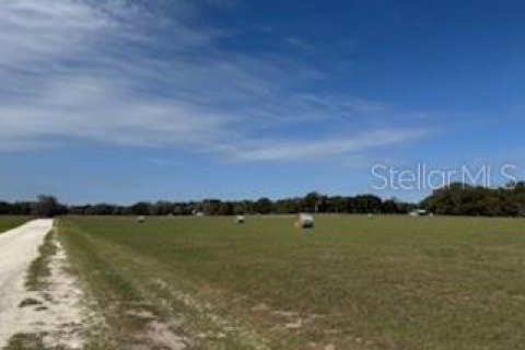 Terreno en venta en Citra, Florida № 1565115 - foto 3