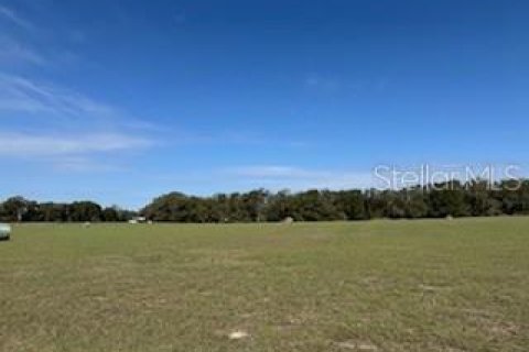Terreno en venta en Citra, Florida № 1565115 - foto 2