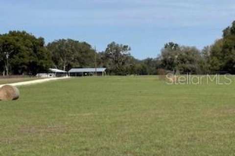 Terreno en venta en Citra, Florida № 1565115 - foto 8