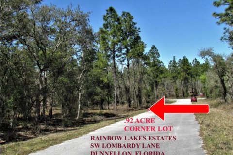 Land in Dunnellon, Florida № 2159455