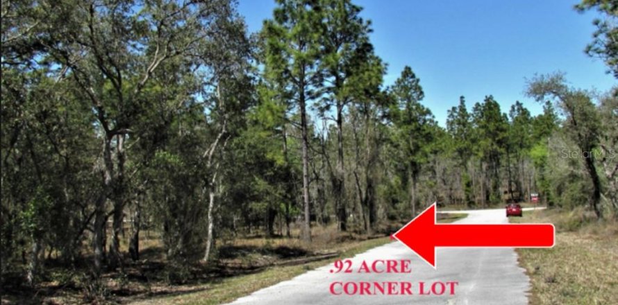 Land in Dunnellon, Florida № 2159455