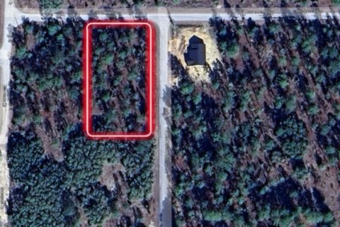 Land in Dunnellon, Florida № 2159455 - photo 2