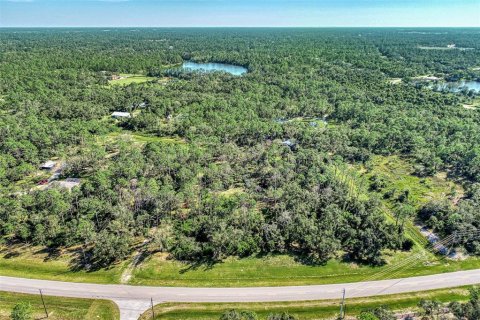 Land in North Port, Florida № 798336 - photo 9