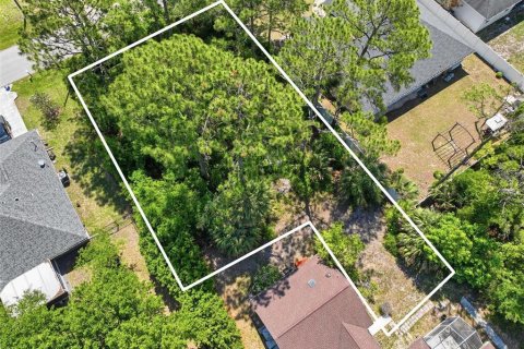 Villa ou maison à vendre à Palm Coast, Floride: 4 chambres, 248.33 m2 № 2148072 - photo 8