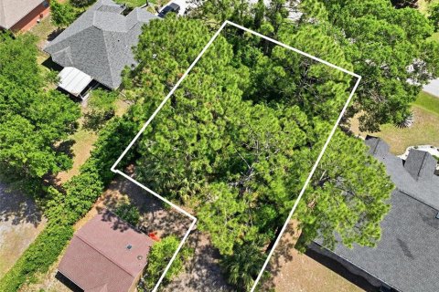Villa ou maison à vendre à Palm Coast, Floride: 4 chambres, 248.33 m2 № 2148072 - photo 9