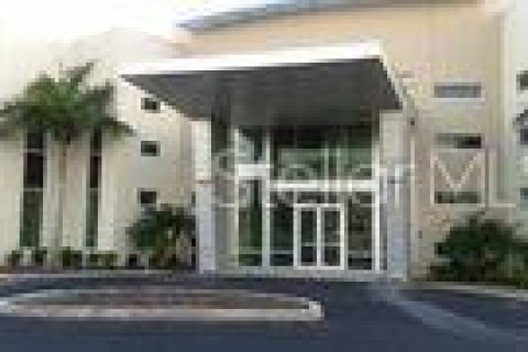 Immobilier commercial à Oldsmar, Floride 3212.19 m2 № 2136086