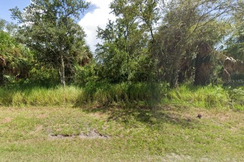 Terrain à vendre à Punta Gorda, Floride № 2232686 - photo 3