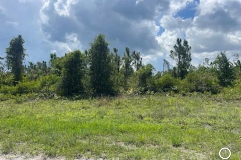 Land in North Port, Florida № 2165716 - photo 4
