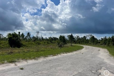Land in North Port, Florida № 2165716 - photo 14