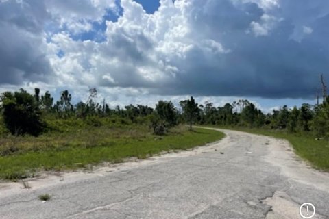 Land in North Port, Florida № 2165716 - photo 15