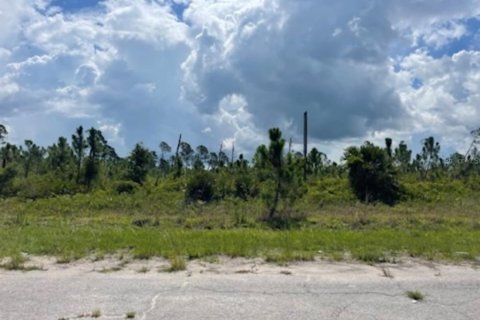 Land in North Port, Florida № 2165716 - photo 23