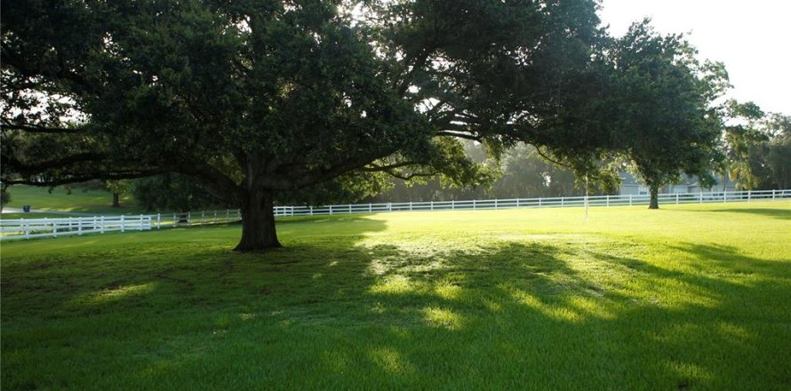 Terreno en Dade City, Florida № 1780287