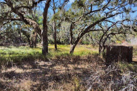 Land in Riverview, Florida № 2118800 - photo 4