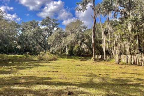 Land in Riverview, Florida № 2118800 - photo 20