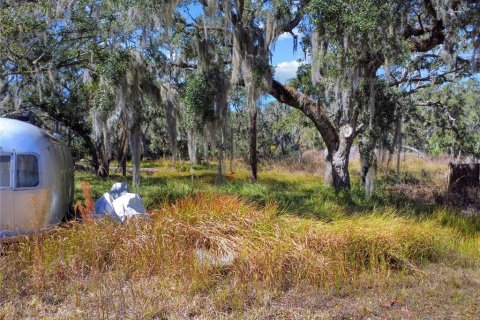 Land in Riverview, Florida № 2118800 - photo 6