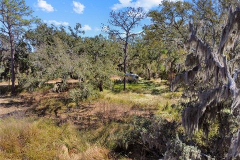 Land in Riverview, Florida № 2118800 - photo 13